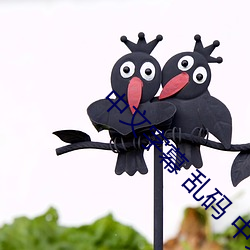 中文字幕 亂碼 中文亂碼