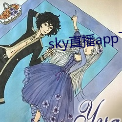 skyֱappذװ