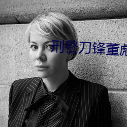 刑警刀鋒董彪