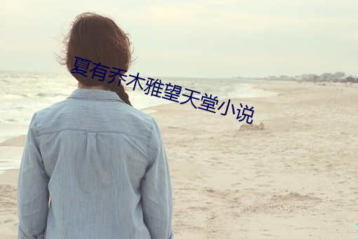 夏有乔木雅望天堂小说