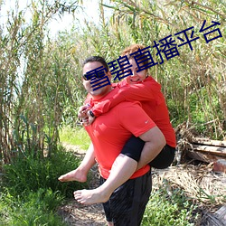雪碧直播平台