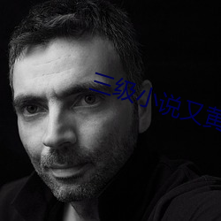 三(sān)级(jí)小说又黄