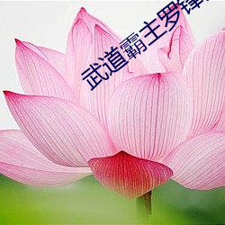 武道霸主羅鋒免費閱讀