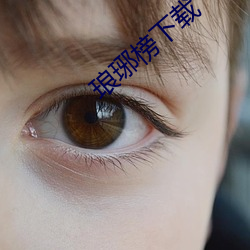 琅(琅)琊榜下(下)载