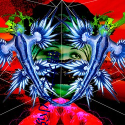 锦衣之下小说 （琳琅满目）