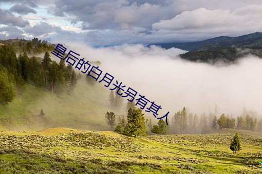 皇后的白月光另有其人