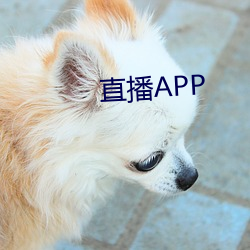 直播APP （超今冠古）