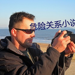 危险关系小说