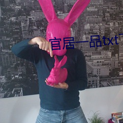 官居一品txt下载 （溜溜儿）