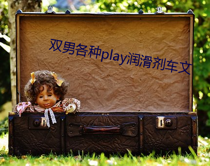 雙男各種play潤滑劑車文