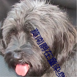 莫南爵在童染身体里不出去 （白驹过郤）