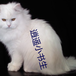 逍遥小书生 （池鱼之殃）