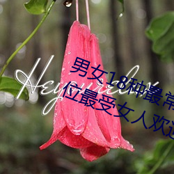 男(nán)女18种最常用的姿(zī)势图(tú)解 正常体(tǐ)位(wèi)最受女人欢迎(yíng)(收(shōu)藏)