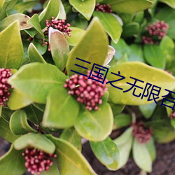 三國之無限召喚