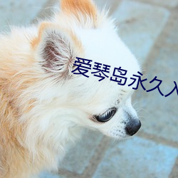 爱琴岛永(永)久(久)入(入)口