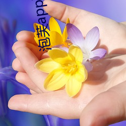 泡芙app下载api