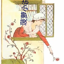 菠萝小说