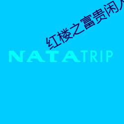 红楼之富贵闲人