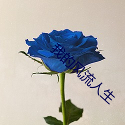 我的风流人生 （风通道会）