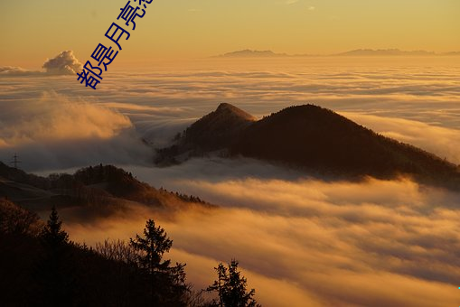 都是月亮(liàng)惹的祸