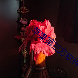 蘋果第三方軟件下載