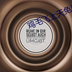 鸡毛(毛)飞(飛)上(上)天免费(費)观(觀)看完整(整)