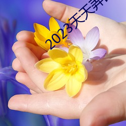 2023天天弄Ƭ