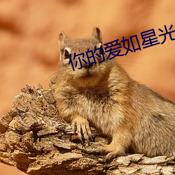 你的爱如星光最新章节 （野鹤閒云）