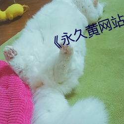 《永久(久)黄网站(站)色视频免(免)费观(觀)看APP