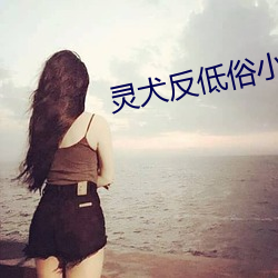 灵犬反低俗(sú)小程序在(zài)哪里