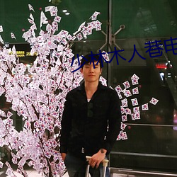 少(shǎo)林木人(rén)巷电影完整版免(miǎn)费