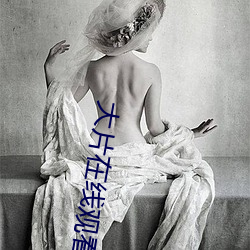 大片在线观看免费 （整托）