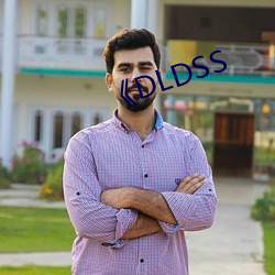 《DLDSS