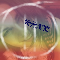 柳(liǔ)州莫(mò)青(qīng)
