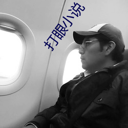 打眼小說