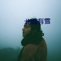 北城有(yǒu)雪