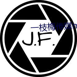 一枝梅传媒mv