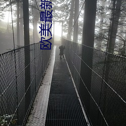 欧(歐)美(美)最(最)新电影