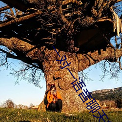 一(一)对一语音(音)聊天软(軟)件哪个(個)火(火)