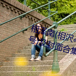 相泽南(相沢みなみ)经典作品(附番号)及封面合集 （免疫）