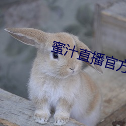 蜜(蜜)汁(汁)直(直)播官(官)方(方)下载