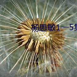 杨思敏1一5集未删减 （稍纵即逝）