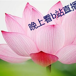 晚上(上)看b站直播(播)