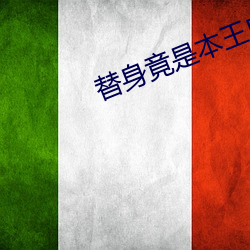 替身竟是本王自己