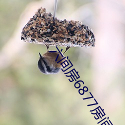 尊龙凯时-人生就是搏!