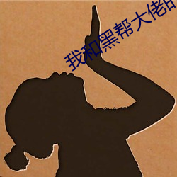 我和黑帮大佬的365天第第