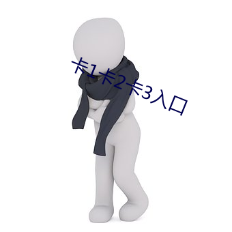 卡1卡2卡3入口