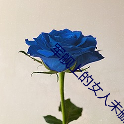 军舰上的女人未删减版