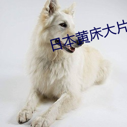 日本黄床大片免费30分钟 （莺吟燕舞）