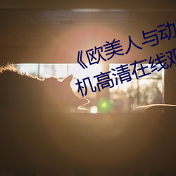 《欧美人与动牲交A欧美精品》手机高清在线观看 （马去马归）